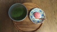 カーネーション 2023/05/19 15:43:34