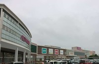 土曜はイオン市野へ、日曜は窓枠へ！