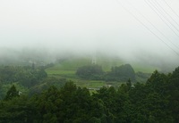梅雨空続く東山 2020/07/30 14:27:21