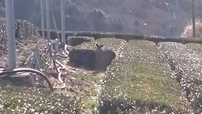 再会!?