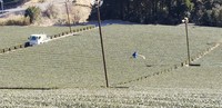 春の茶園管理はじまる 2019/02/13 21:47:00