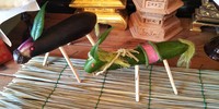 精霊棚のおしょろさま 2019/08/14 15:55:05