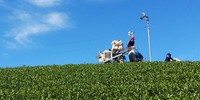 秋晴れの中で 2019/10/05 11:08:31