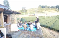 秋晴れの日に・・「山の神」を奉る・・皇帝ダリアが咲いたよ 2019/11/10 22:04:39