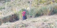 茶草場の草刈り 2019/11/22 19:50:08