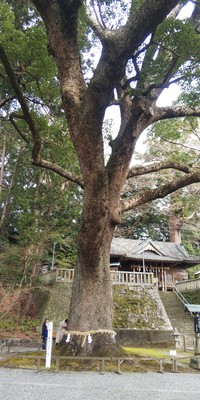 日坂事任八幡宮 2020/01/18 21:04:04