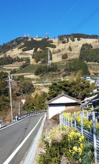 免疫力を高めるあったかい緑茶 2020/03/06 08:30:00