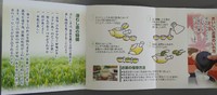 新茶予約の発送はできました 2020/05/29 09:44:13