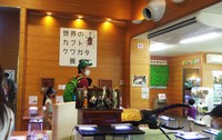 竜洋昆虫自然公園 2020/08/12 22:33:52