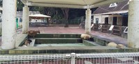 浜松市動物園,日東野球少年団 2020/09/21 22:00:07