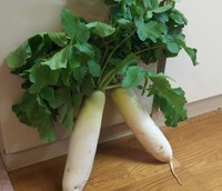 えびす講（おいべっさん） 2020/11/20 09:52:05
