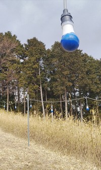山頂のハートのライトアップ 2021/02/17 10:05:15