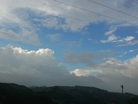 秋の虫の声 2020/08/28 07:37:49