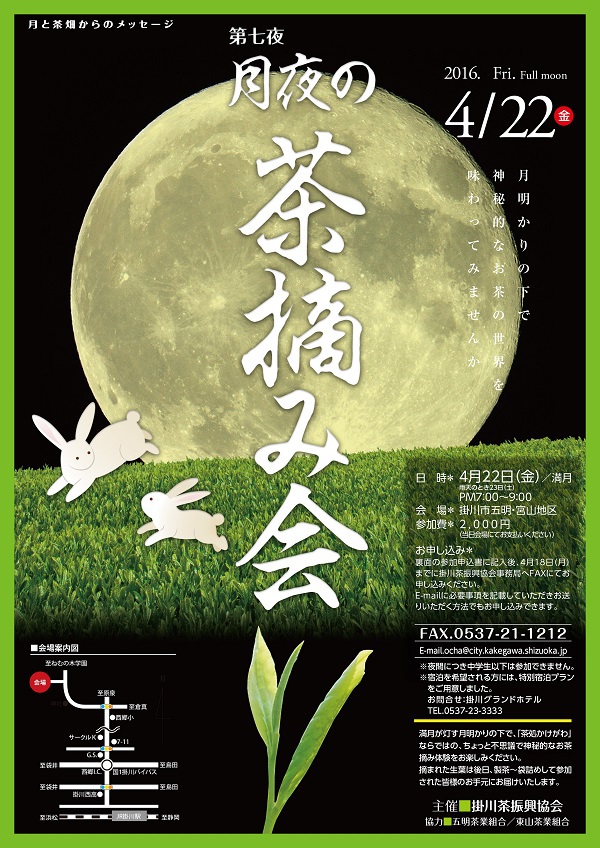 月夜の茶摘み会
