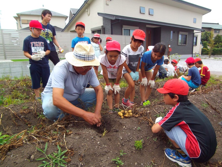 三川小学校３年生が、袋井産じゃがいもの収穫体験をしました！