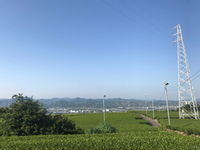 ちょこっとドライブ、鯛焼き屋さん