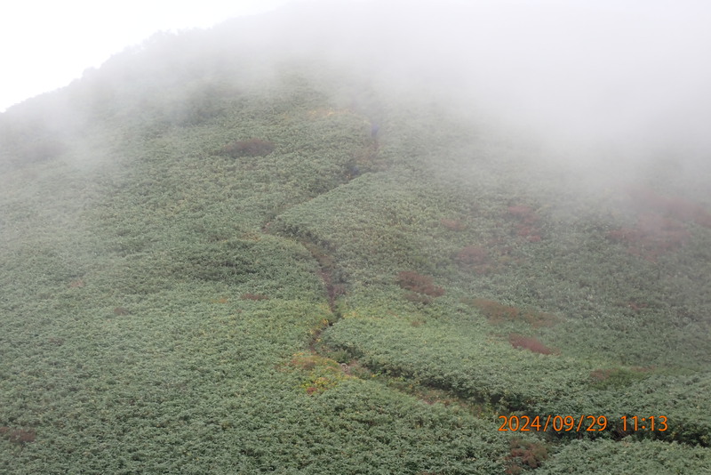 霧の雨飾山