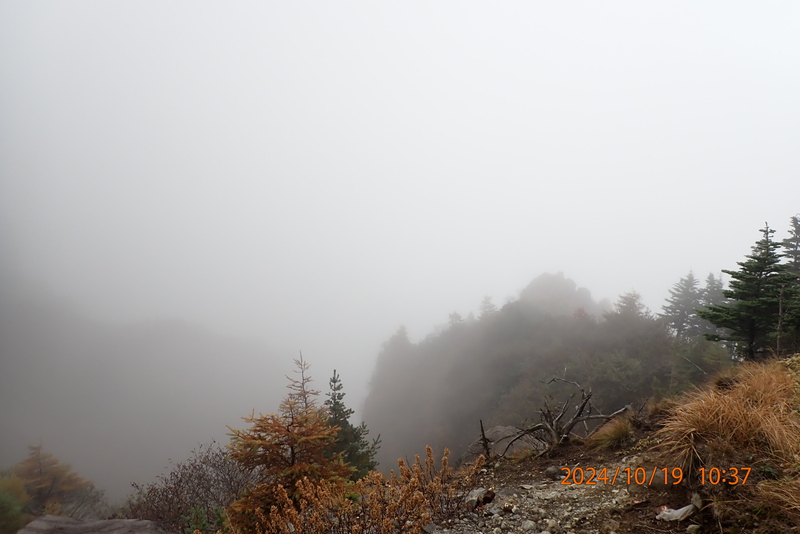 ダケカンバとカラマツの紅葉に染まった黒斑山