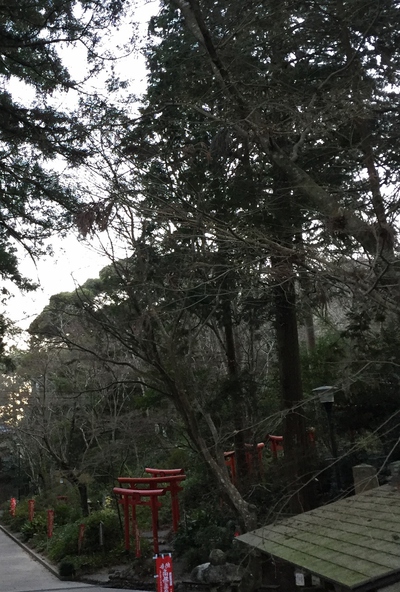 冬の油山寺