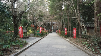 冬の油山寺