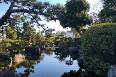 観富山≪龍華寺≫