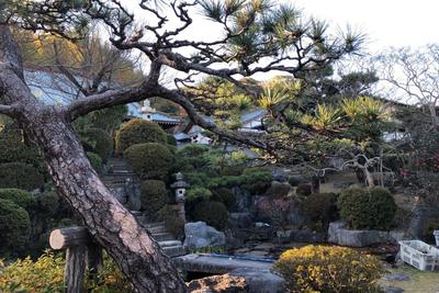 観富山≪龍華寺≫