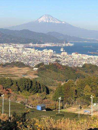 観富山≪龍華寺≫