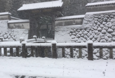 五島はまた雪！！