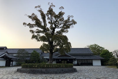 葛城北の丸