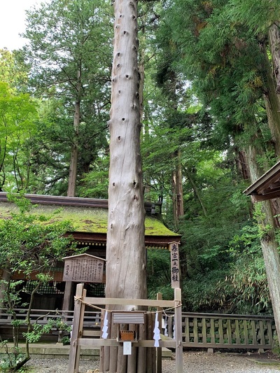 おんばしら館「よいさ」