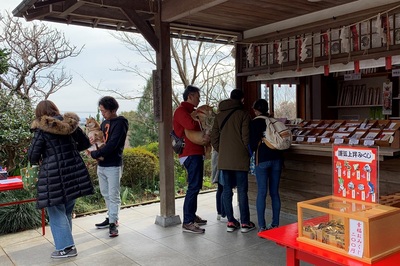 ペット用≪神祇神社≫