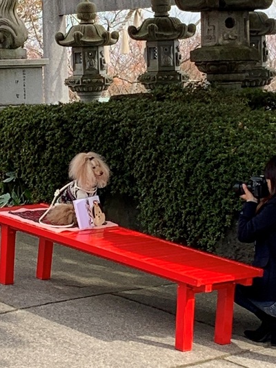 ペット用≪神祇神社≫