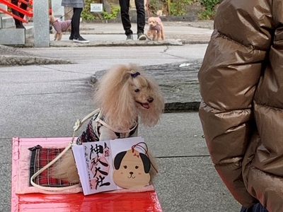 ペット用≪神祇神社≫
