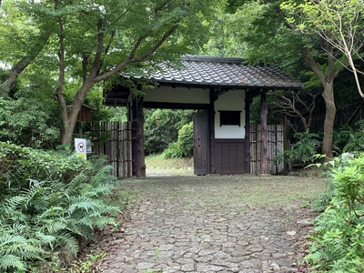 出世城≪浜松城公園≫