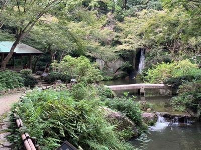 出世城≪浜松城公園≫