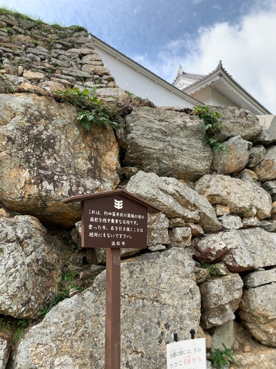 出世城≪浜松城公園≫