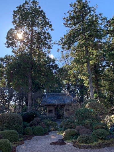井伊谷宮から龍潭寺へ