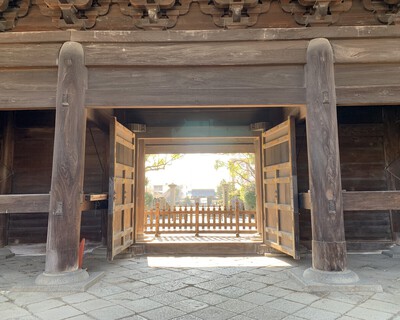 どうする家康≪大樹寺≫