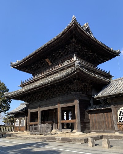 どうする家康≪大樹寺≫