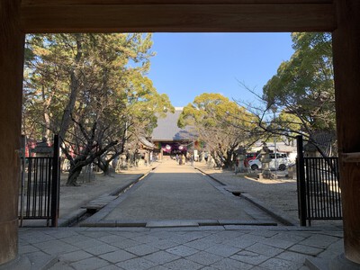 どうする家康≪大樹寺≫