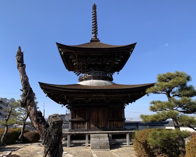 どうする家康≪大樹寺≫