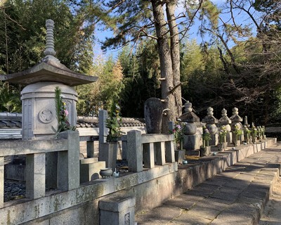 どうする家康≪大樹寺≫