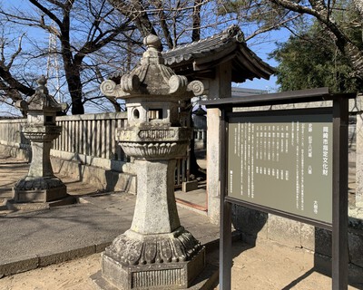 どうする家康≪大樹寺≫