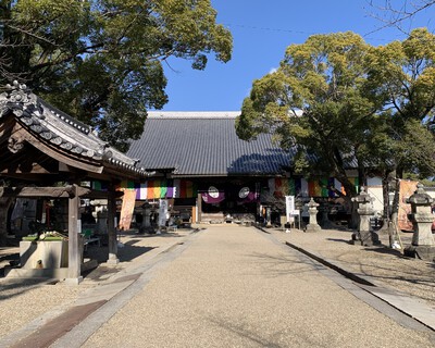 どうする家康≪大樹寺≫