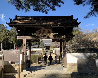 どうする家康≪松平東照宮≫