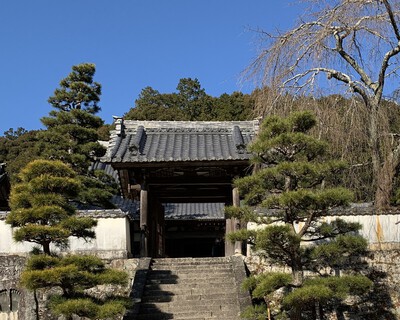どうする家康≪松平東照宮≫