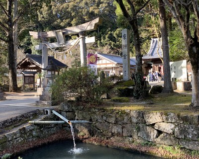 どうする家康≪松平東照宮≫