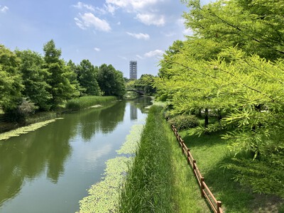 炎天下のガーデンパーク