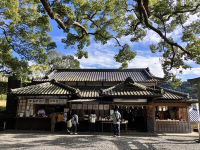 『事任八幡宮』イチョウの木