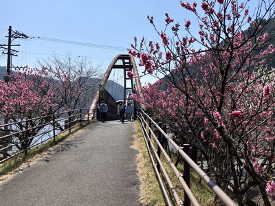 道の駅『花桃の里』